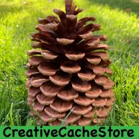 CreativeCacheStore